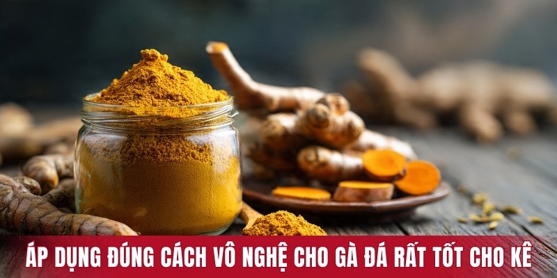 Áp dụng đúng cách vô nghệ cho gà đá sẽ rất tốt cho kê