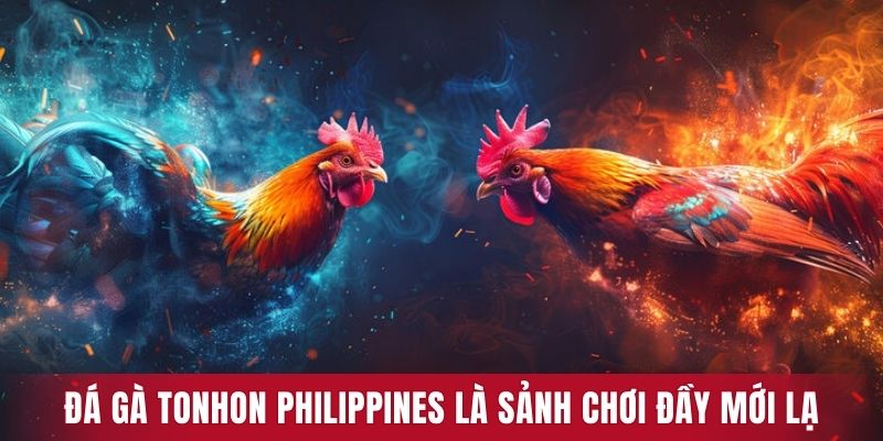 Đá gà Tonhon Philippines là sảnh chơi đầy mới lạ