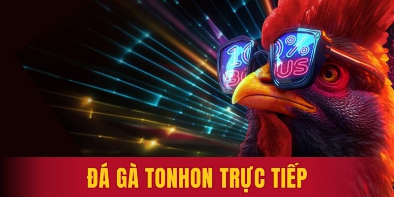 đá gà Tonhon trực tiếp