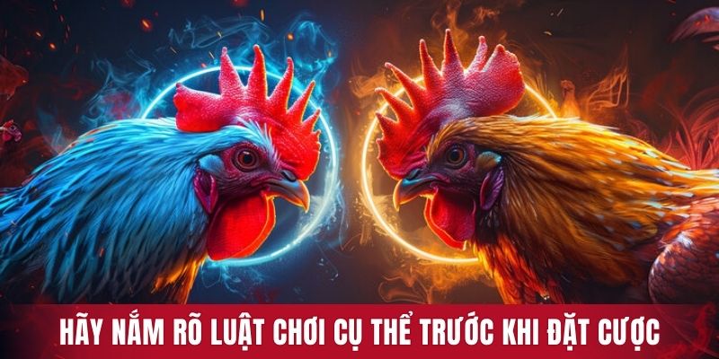 Hãy nắm rõ luật chơi cụ thể trước khi đặt cược