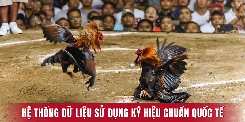 Hệ thống dữ liệu sử dụng ký hiệu chuẩn quốc tế