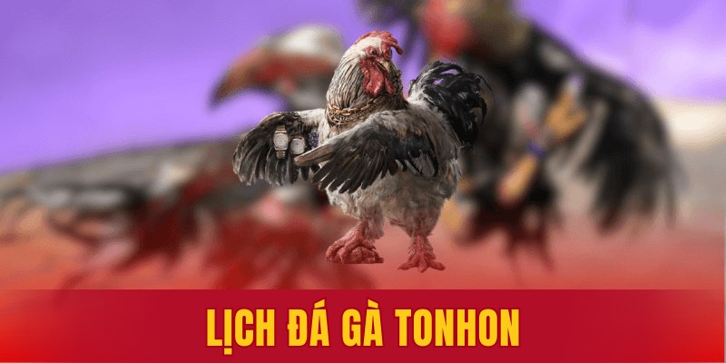 lịch đá gà Tonhon