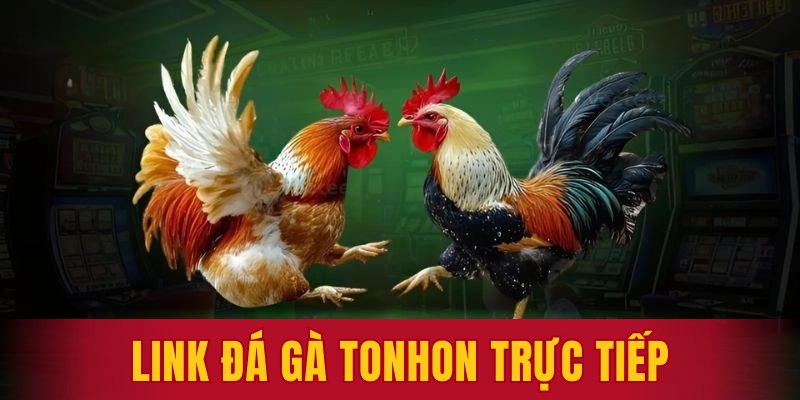 link đá gà Tonhon trực tiếp