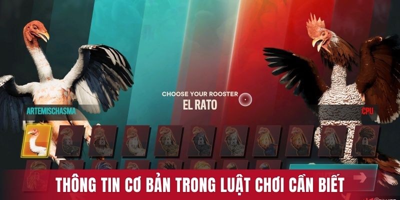 Thông tin cơ bản trong luật chơi cần biết khi tham gia