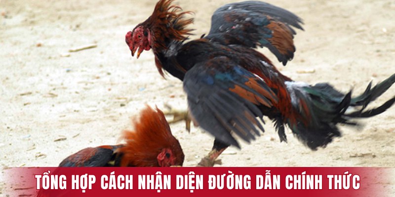 Tổng hợp cách nhận diện đường dẫn chính thức