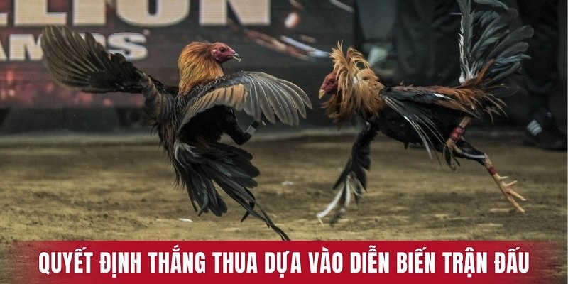 Trọng tài quyết định thắng thua dựa vào diễn biến trận đấu